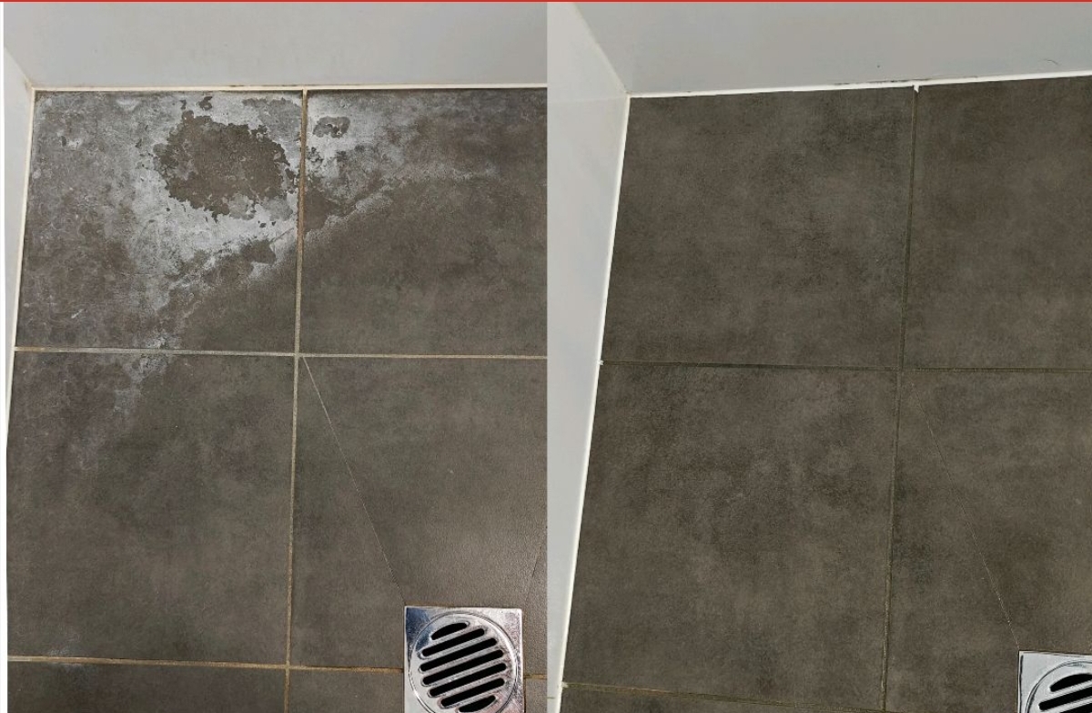 AJE Cleaning solutions中介合作专业退房清洁洗地毯专业COVID19 气溶胶雾化